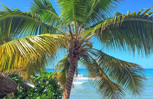 Cotterelle Cottage | Cozy Ocean Room with Pool & Pet-Friendly Amenities