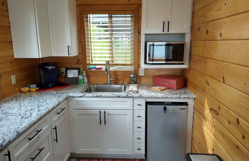 Diamond Point Cabin | Pet-Friendly Cabin with Salt Water View on Olympic Peninsula