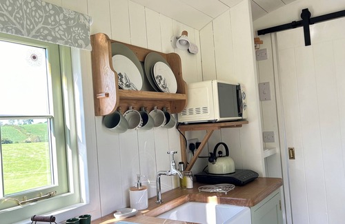 Chittlehampton Cabin | Cozy shepherds hut with hottub