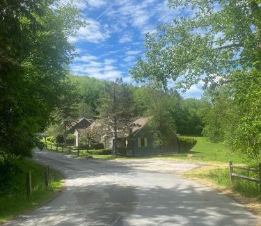 Hancock House | Inviting Mountain Cabin with Pool & Hot Tub in Berkshire