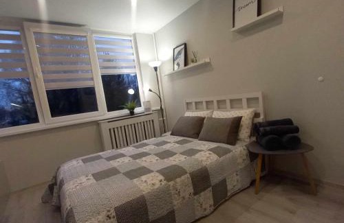 Siauliai City Center Apartment | Cozy small apartment #5A