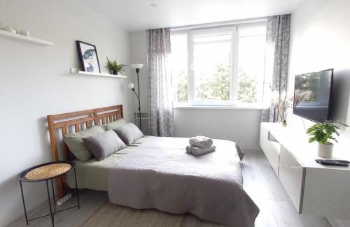 Siauliai City Center Apartment | Cozy small apartment #5A