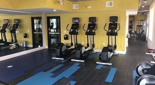 Shockoe Bottom Apartment | Pet-Friendly Downtown Richmond Gem Near VCU - 10/10 Rated