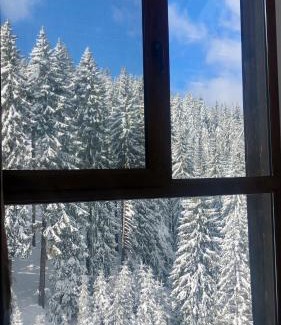 Pamporovo Apartment | Charming Studio at The Castle - Pamporovo, Pet Friendly Stay