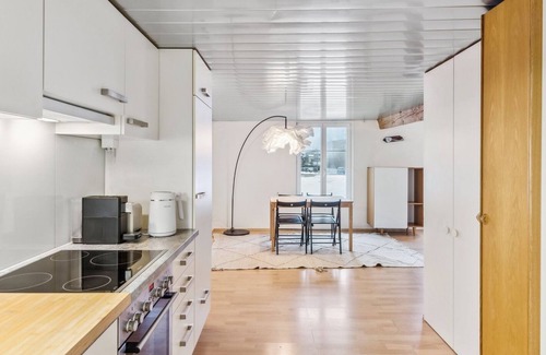 Dietikon District Apartment | Charming Studio with Kitchen & Child-Friendly Amenities
