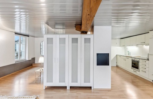 Dietikon District Apartment | Charming Studio with Kitchen & Child-Friendly Amenities