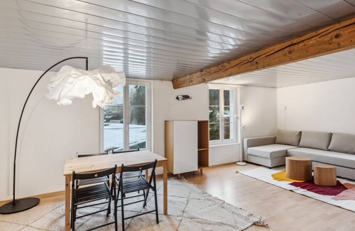 Dietikon District Apartment | Charming Studio with Kitchen & Child-Friendly Amenities