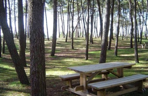 LʼAiguillon-sur-Mer Apartment | Cozy Studio in L'Aiguillon-sur-Mer with Spa & Breakfast