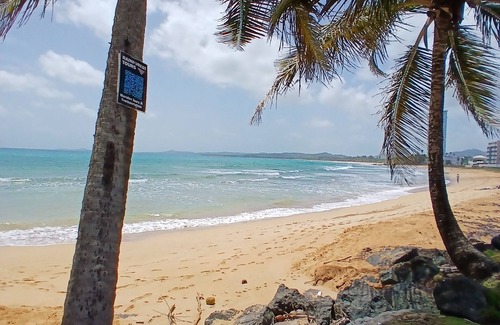 Ocean Park Apartment | Inviting Studio Steps from Pristine Beaches with Ocean View
