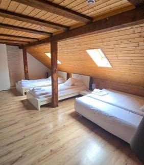 Alt-Wiedikon Apartment | Charming Studio Retreat with Roof Terrace for 3 Guests