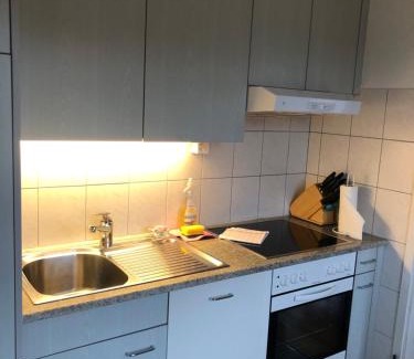 District 8 Apartment | Bright City Center 1-Bedroom Flat - Pet Friendly Retreat