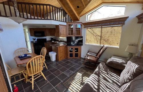 Almont Cabin | Charming Tiny Home Cabin for Couples and Families, 10/10 Rated
