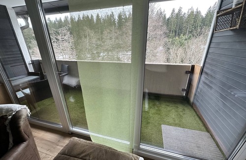 Kniebis Apartment | Charming Vacation Apartment near Schwarzbald - Kniebis