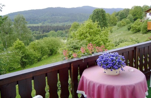 Bodenmais Apartment | Inviting Vacation Apartment for Up to 4 with Kitchenette
