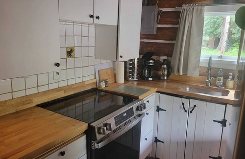 Castle Rock Cabin | Guest Rated 10/10: Riverside Log Cabin with Pet-Friendly Spa