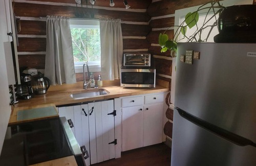 Castle Rock Cabin | Guest Rated 10/10: Riverside Log Cabin with Pet-Friendly Spa