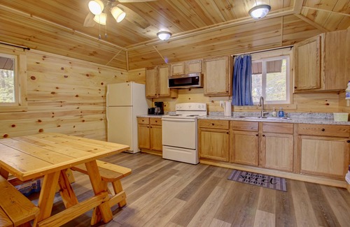 Lac du Flambeau Cabin | Inviting Northwoods Cabin with Private Dock & Pet-Friendly