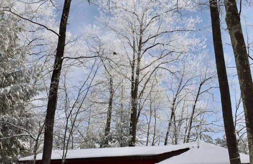 Lac du Flambeau Cabin | Inviting Northwoods Cabin with Private Dock & Pet-Friendly