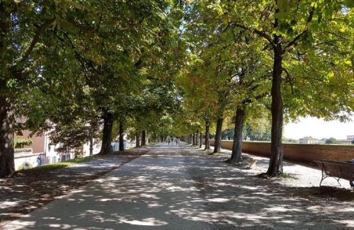 Lucca Historical Center Apartment | Charming CozyBricks: Historic Lucca Apartments with Ocean Views
