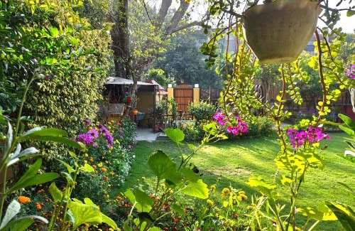 New Delhi Bed & Breakfast | Comfortable Cp Villa: Enjoy Rooms with Patio & Breakfast