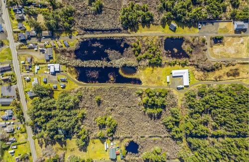 Raymond House | Cozy Crab Pot Condo: Pet-Friendly Retreat with High Ratings