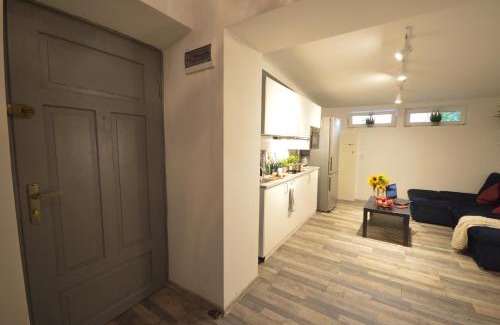 Stare Miasto Apartment | Ideal Cracow Central Aparthotel: Pet-Friendly & Family Enjoyment