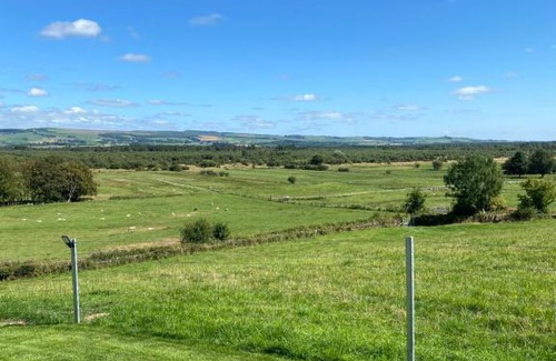 Dumfries Other | Experience Craigend Farm Pods - The Woolly Sheep Awaits!