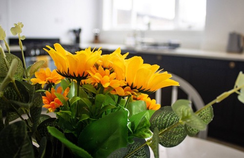 Cullen Cottage | CRANNOCH SELF CATERING, pet friendly, with hot tub in Cullen