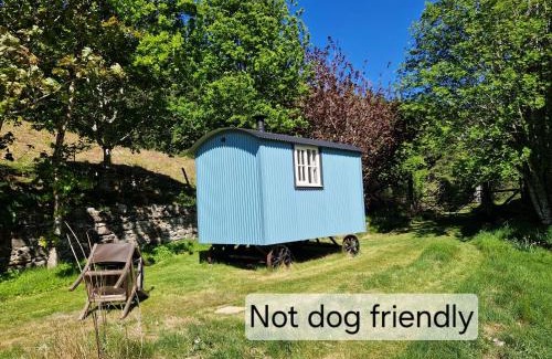 Beauly Cabin | Pet-Friendly Craskie Glamping Pods with Breakfast Included
