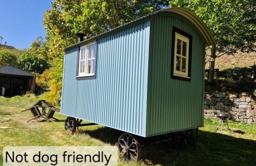 Beauly Cabin | Pet-Friendly Craskie Glamping Pods with Breakfast Included