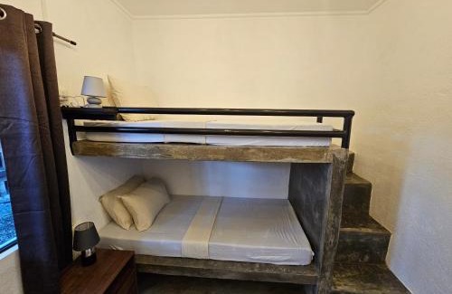 Basdiot Hostel | Discover Crazy Bears Hostel: Top-Rated with Breakfast & Accessibility