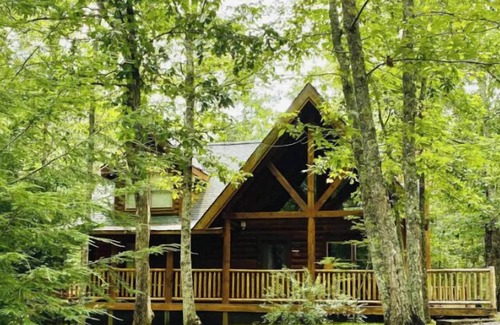 Mentone Cabin | Experience Creek Wood Reserve: Top-Rated Retreat in Mentone