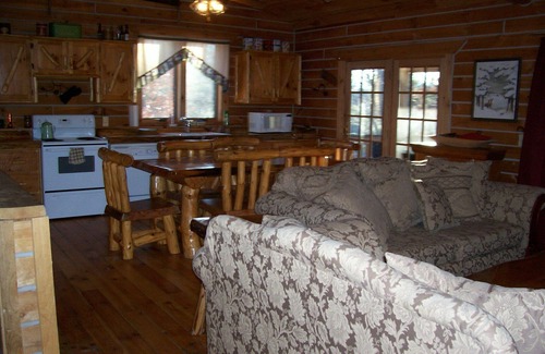Black River Falls Cabin | Cozy Creekside Amish Log Cabin with Pool & Spa Amenities