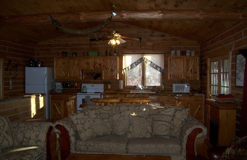 Black River Falls Cabin | Cozy Creekside Amish Log Cabin with Pool & Spa Amenities