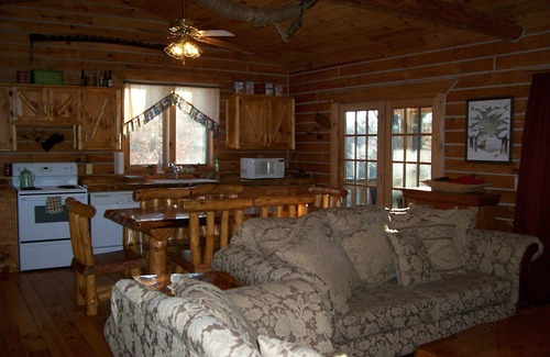 Black River Falls Cabin | Cozy Creekside Amish Log Cabin with Pool & Spa Amenities
