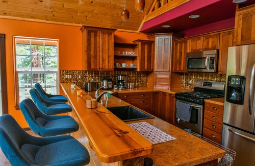 Shingletown Cabin | Pet-Friendly Lassen Cabin by the Creek with Hot Tub & EV Charging
