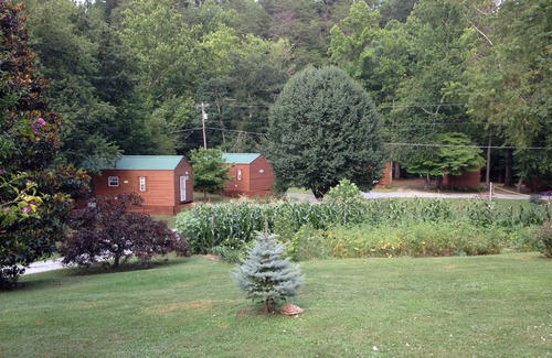 Bryson City Cabin | Top-Rated Creekside Cabins with Ocean View & Pet-Friendly Stay