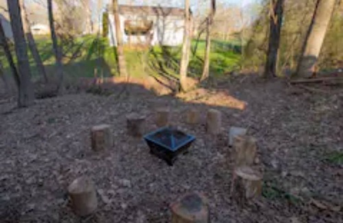 Vista Acres Cottage | Guest Rated 10/10: Creekside Cottage with Family Amenities