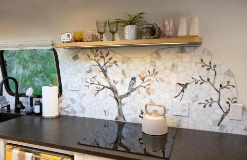 Pisgah Forest Villa | Tranquil Stay at Creekside Fern with Hot Tub Access