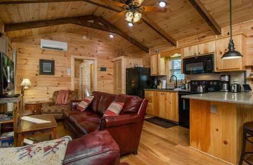 Pisgah Forest House | Creekside Log Cabin: Perfect for Families and Pets