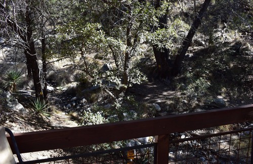 Sonoita Cabin | Idyllic Cabin Retreat in Madera Canyon for Nature Lovers
