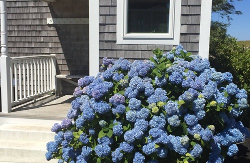 New Shoreham House | Beachfront Crescent Beach Cottage with Ocean Views