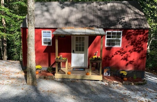 Dunlap Cabin | Family-Friendly Critter Cottage at Coops Creek Cabins