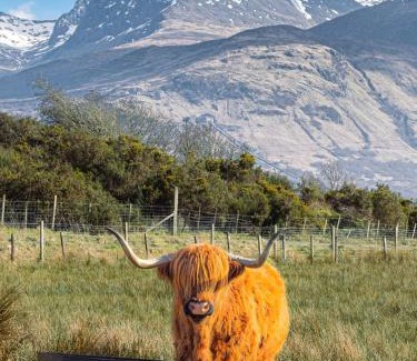Banavie Apartment | Guest Favorite: Croft Cabin with 9.5/10 Review Score