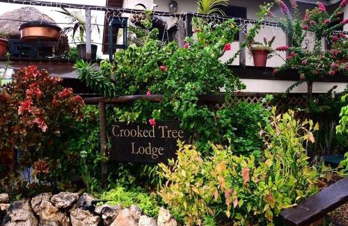 Crooked Tree Hotel | CROOКED TREE LODGE Belize