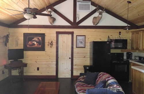 Burneyville Cabin | Idyllic Cross Timbers Country Cabin #1 - Guest Rated 9.8/10