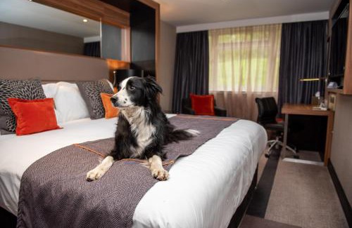 Seer Green Hotel | Relax at Crowne Plaza Gerrards Cross - Pet Friendly & Spa