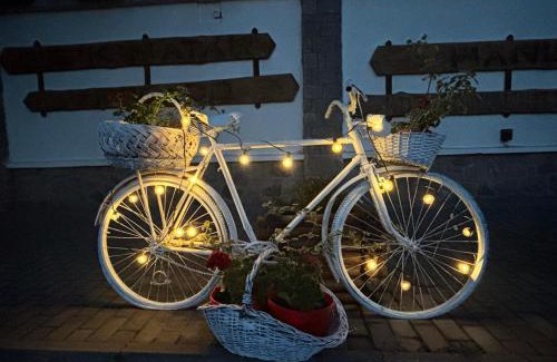 Bixad Hotel | Discover Csíki Határ Fogadó: Family-Friendly Retreat