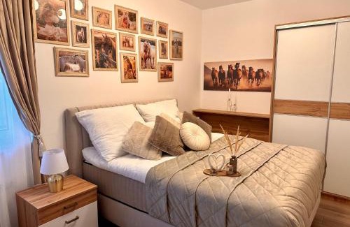 Kalocsa Apartment | Csatangoló Lovas Apartman Gold