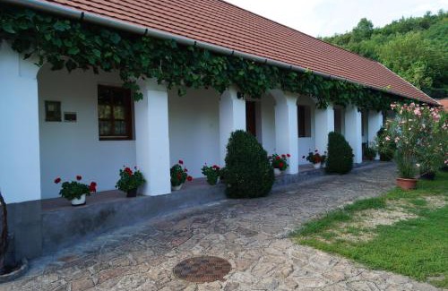 Szomolya Apartment | Inviting Cseresznyés Vendégház: Pet Friendly Retreat with Hot Tub